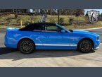 Thumbnail Photo undefined for 2013 Ford Mustang Shelby GT500